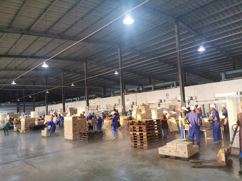 1706513287202159.jpg 2.jpg